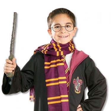 Disfraces de Harry Potter para niño y adulto