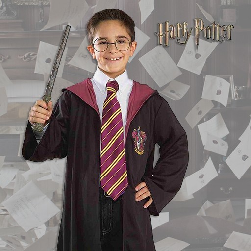 Disfraces de Harry Potter para niño