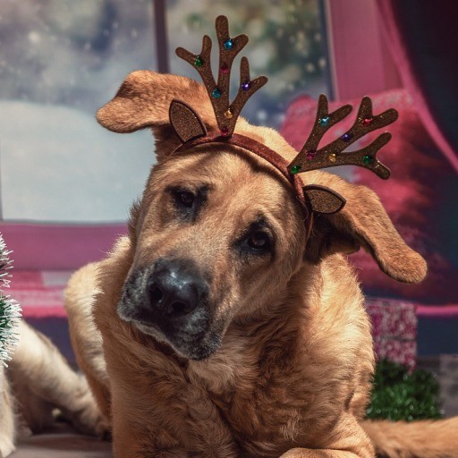 Diademas navideñas