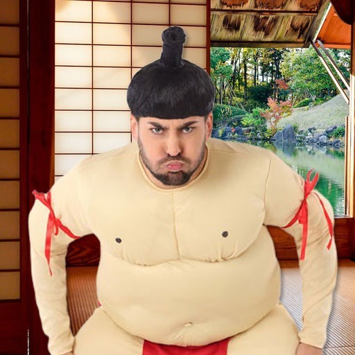 Disfraces de sumo